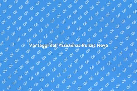 Pulizia Neve: Affidati ai Professionisti