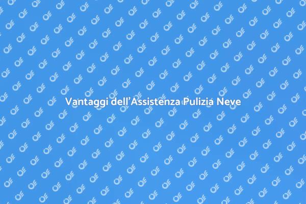Servizio Professionale di Pulizia Neve