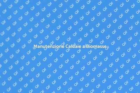 Caldaie a Biomasse: Manutenzione Efficace