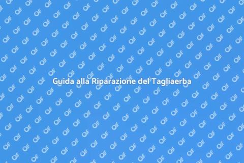 Riparazione Motore Tagliaerba Essenziale