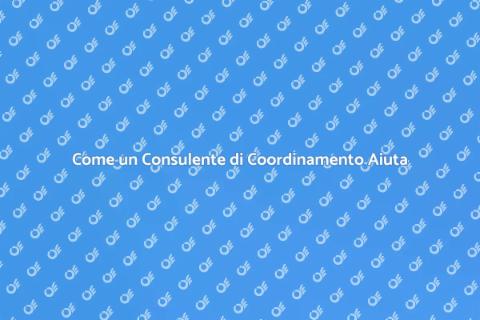 Consulente di Coordinamento per Progetti