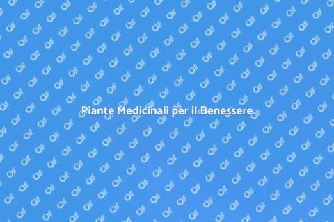 Fitoterapia per il Benessere Generale