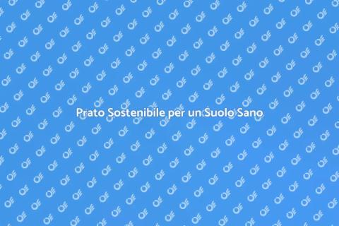 Il Prato Che Arricchisce il Suolo