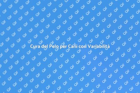 Toelettatura Cani con Pelo Variato