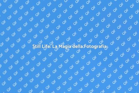 Book Fotografico di Still Life