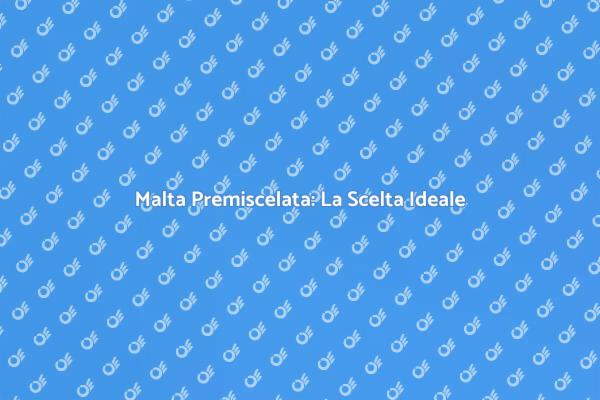 Malta Premiscelata: Innovazione in Edilizia