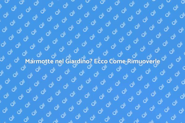 Rimozione Professionale di Marmotte