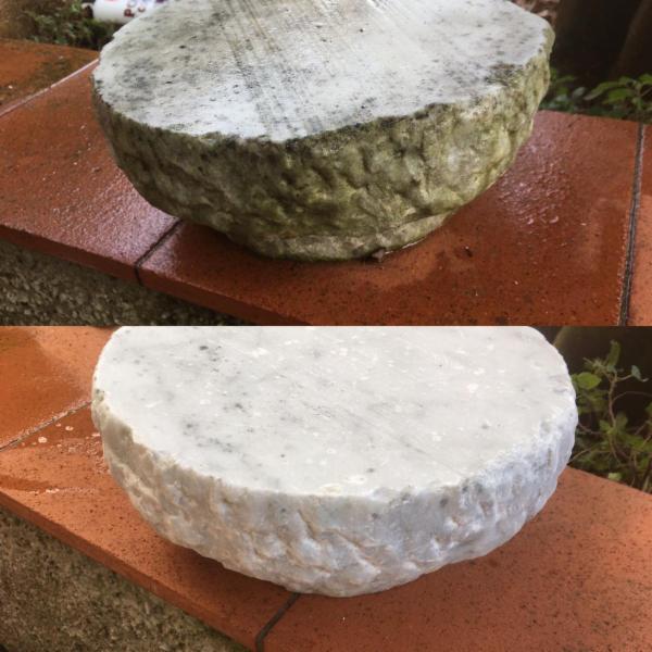 Vanda Emilia Vanni - Foto 5