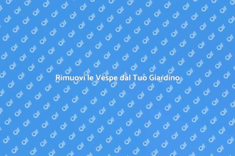 Disinfestazione Vespe: Il Nostro Programma