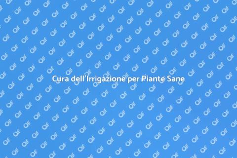 Manutenzione Irrigazione Giardino
