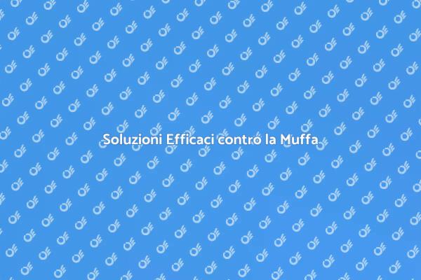 Liberati dalla Muffa in Casa