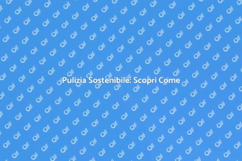 Sistema di Pulizia Ecologico Efficace