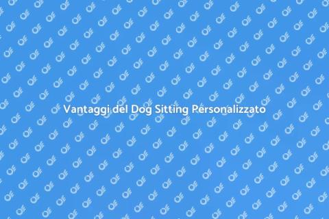 Dog Sitting Ad Hoc: il Miglior Servizio