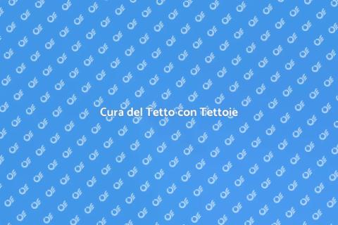 Manutenzione Tetto con Tettoie