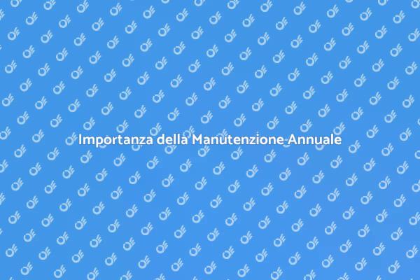 Manutenzione Annuale: Perché è Fondamentale