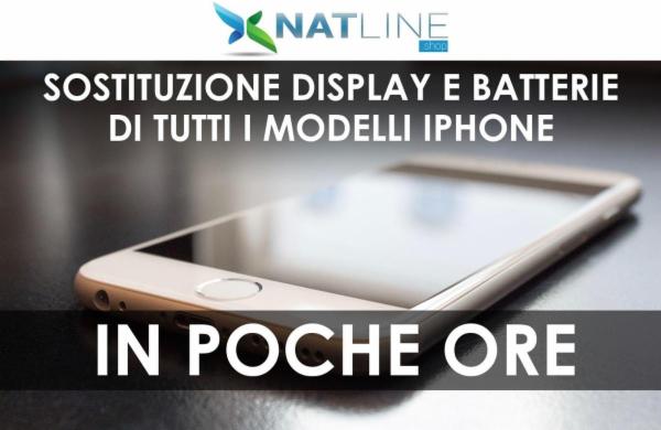 Natalino Palummo - Foto 3