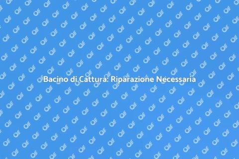 Riparazione Bacino di Cattura Essenziale