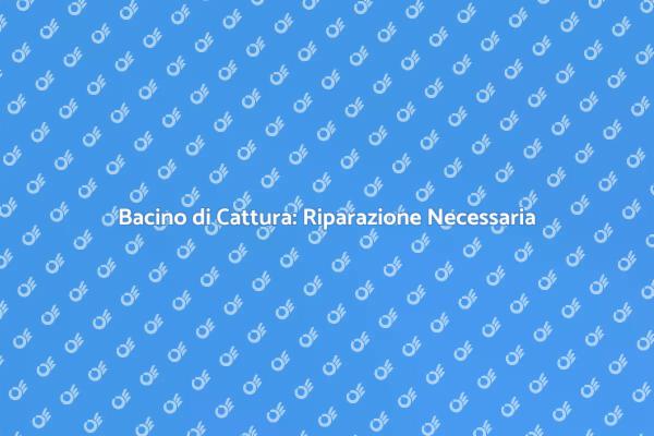 Perché Riparare il Bacino di Cattura?