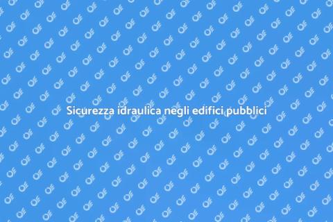 Controllo idraulico edifici istituzionali