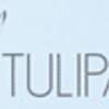 Fioreria Tulipa 