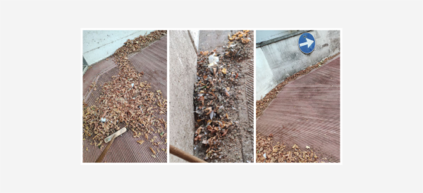 M&M Bioclean Service - Foto 3