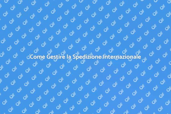 Guida alla Spedizione Internazionale
