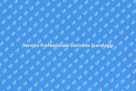 Controllo Scarafaggi Affidabile