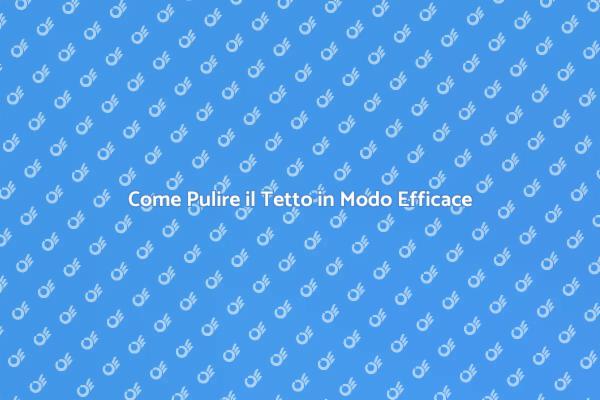 Mantieni il Tetto Sempre Pulito