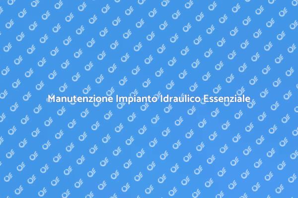 Manutenzione Cruciale per Tubo Idraulico