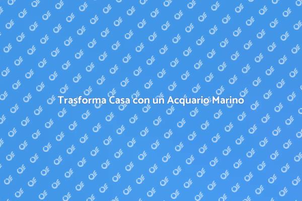 Il Tuo Acquario Marino da Sogno