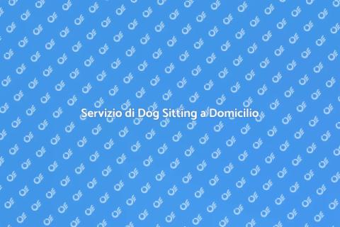 Dog Sitting a Domicilio per il Tuo Fido