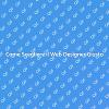 Web Designer: Scegli il Migliore per Te