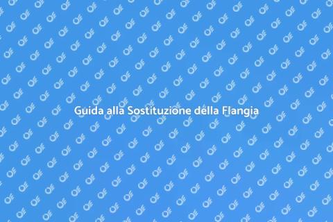 Sostituire la Flangia della Toilette