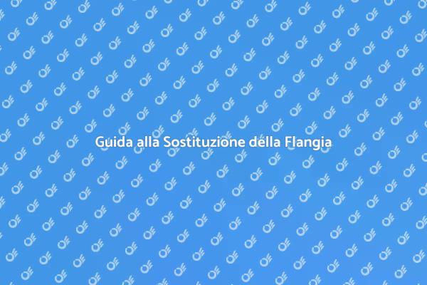 Come Sostituire la Flangia della Toilette