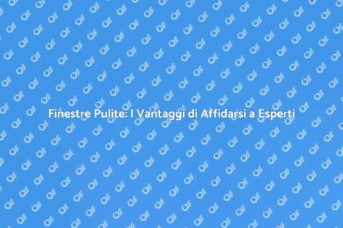 Pulizia Finestre: Affidati ai Professionisti