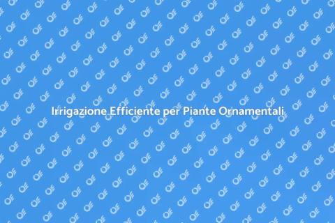 Sistema di Irrigazione per Giardino