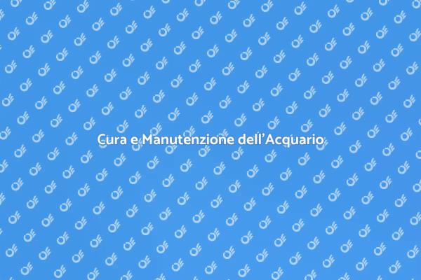 Manutenzione Acquario: Tutto Quello che Serve