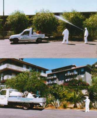 D.D.T. Derattizzazione Disinfestazione  - Foto 2