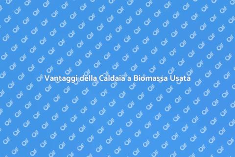 Caldaia a Biomassa Usata: Eco Comfort