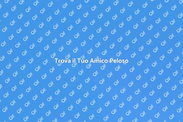 Pet Detective: La Salvezza dei Tuoi Animali
