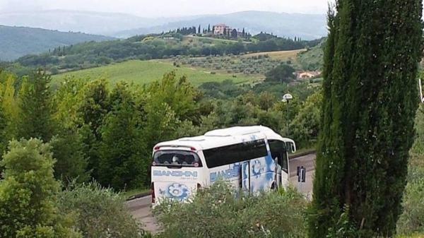 Autonoleggio Bianchini  - Foto 3