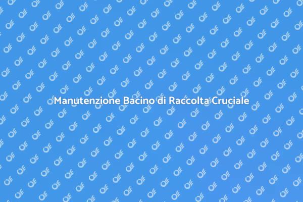 Salubrità Casa: Pulizia Bacino Fondamentale