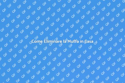 Rimuovere Muffa: Guida Completa