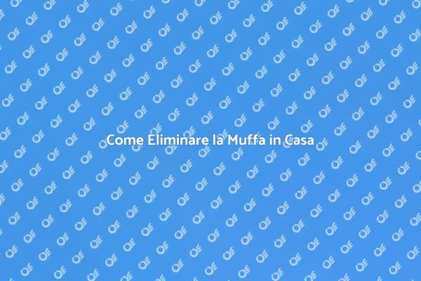 Muffa in Casa? Ecco Come Rimuoverla!