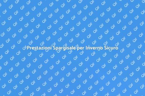 Ottimizzazione Spargisale Invernale