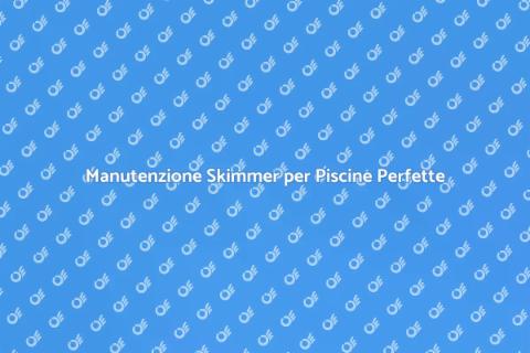 Manutenzione Skimmer Piscine Eccellente