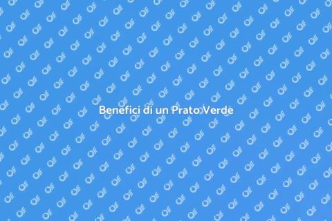 Prato che Migliora il Benessere