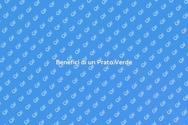 Prato: Un Investimento per il Benessere