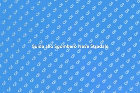 Sgombero Neve Stradale Efficiente