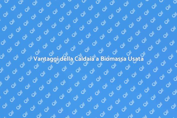 Caldaia a Biomassa: Scopri i Vantaggi